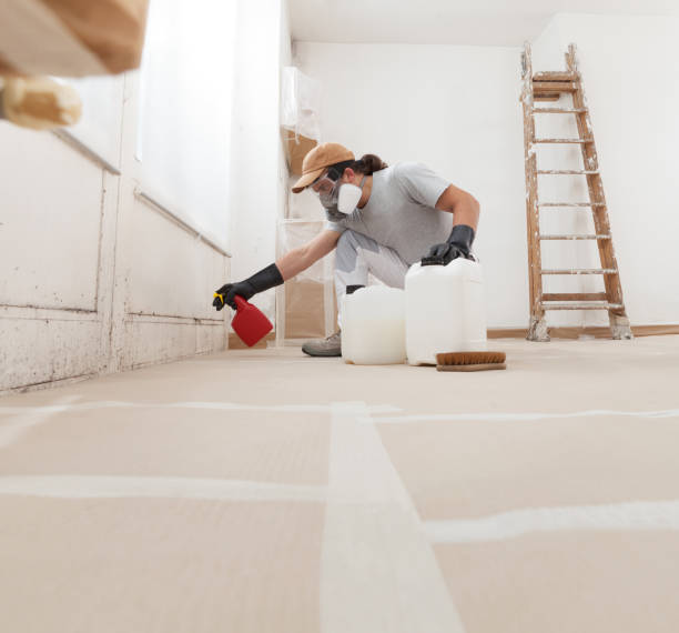 Best Air Quality Testing for Mold Spores  in Bloomingburg, OH