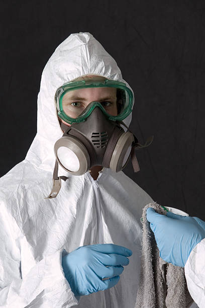 Best Basement Mold Removal  in Bloomingburg, OH